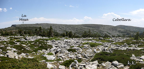Sierra de Cebollera