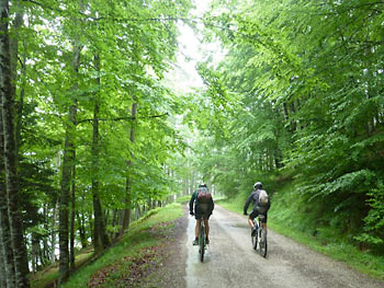Transpirenaica en Bicicleta de montaa: Selva de Irati
