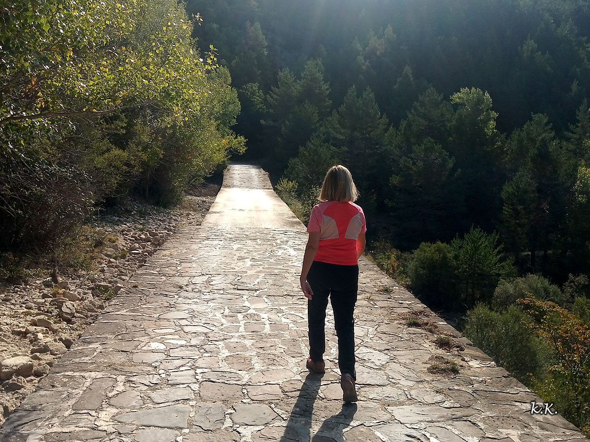 Excursión por la Garcipollera