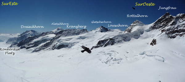 Dreiekhorn, Aletschhorn, Kranzberg, Gletscherhorn, Louwihorn, Rottalhorn, Jungfrau