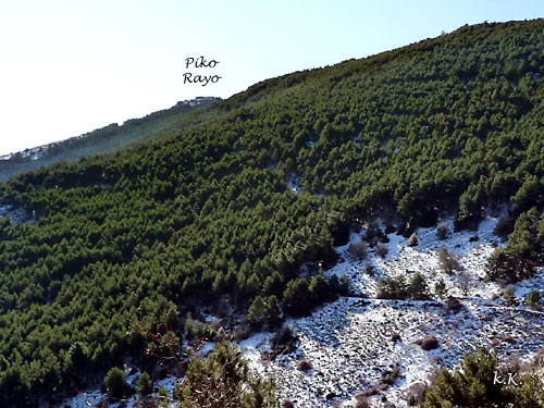 Ascensión al Pico del Rayo en la Sierra de Vicort