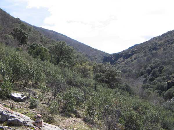 Valle del Chorro, camino al Rocigalgo