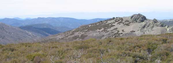 Valle del Chorro, ruta al rocigalgo