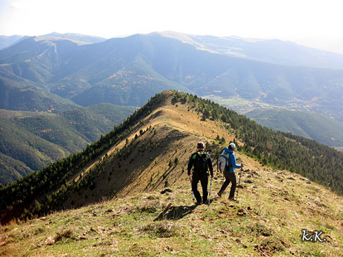 Camino del Saras�